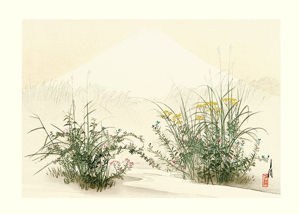 photo9.jpg