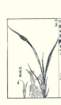 photo10_small.jpg