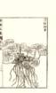 photo13_small.jpg