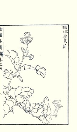 photo15.jpg