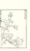photo15_small.jpg