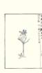 photo16_small.jpg