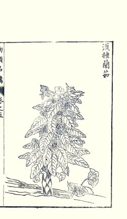 photo17.jpg