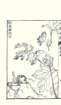 photo18_small.jpg