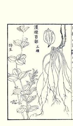 photo22.jpg