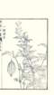 photo23_small.jpg
