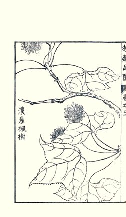 photo26.jpg