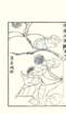 photo26_small.jpg