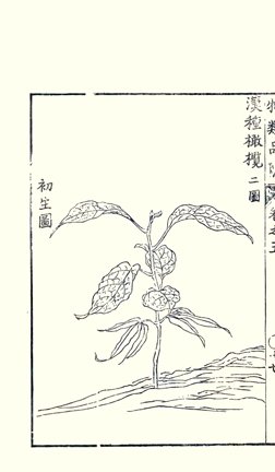 photo28.jpg
