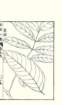 photo29_small.jpg