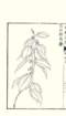 photo30_small.jpg