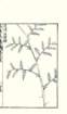 photo31_small.jpg