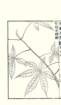 photo33_small.jpg