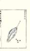 photo34_small.jpg