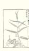 photo6_small.jpg