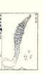 photo7_small.jpg