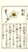 photo11_small.jpg