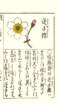 photo13_small.jpg