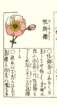 photo15_small.jpg