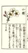 photo18_small.jpg