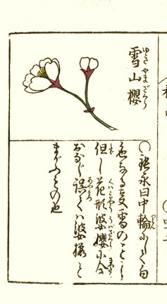 photo20.jpg