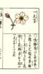 photo21_small.jpg