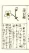 photo22_small.jpg