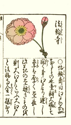 photo25.jpg