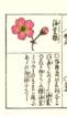 photo28_small.jpg