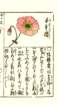 photo29_small.jpg