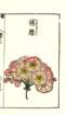 photo37_small.jpg