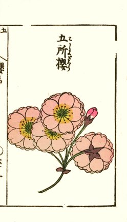 photo40.jpg