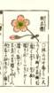 photo41_small.jpg