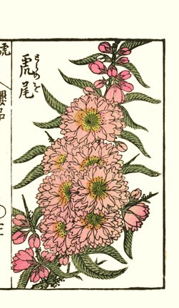 photo46.jpg