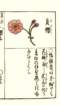 photo48_small.jpg