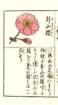 photo49_small.jpg