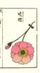 photo50_small.jpg