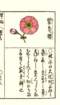photo53_small.jpg
