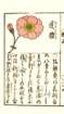 photo60_small.jpg