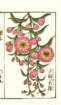 photo7_small.jpg