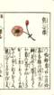 photo8_small.jpg