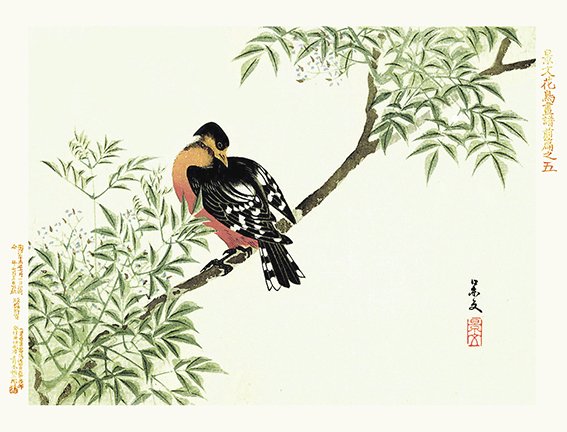 photo5.jpg