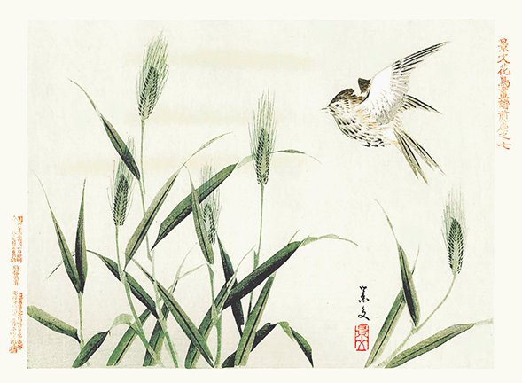 photo7.jpg