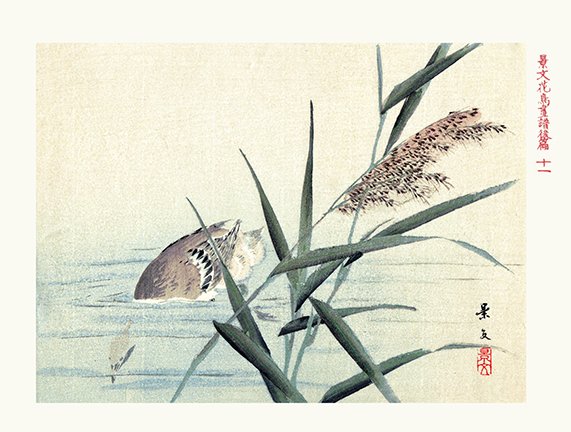 photo11.jpg