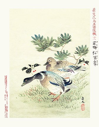 photo12.jpg