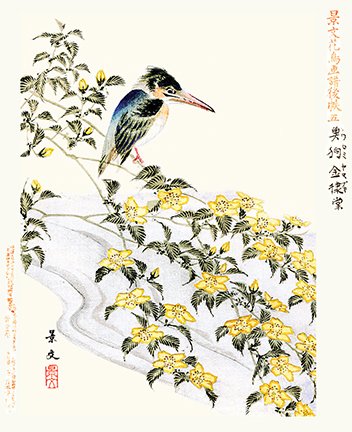 photo5.jpg
