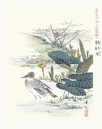 photo7.jpg