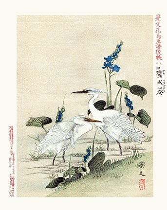 photo8.jpg
