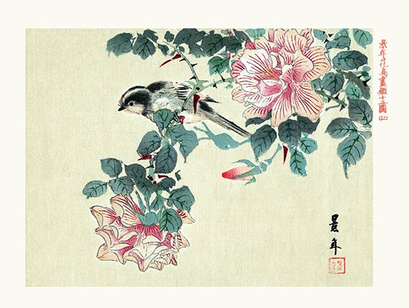 photo4.jpg