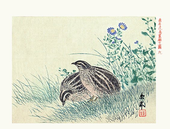 photo9.jpg